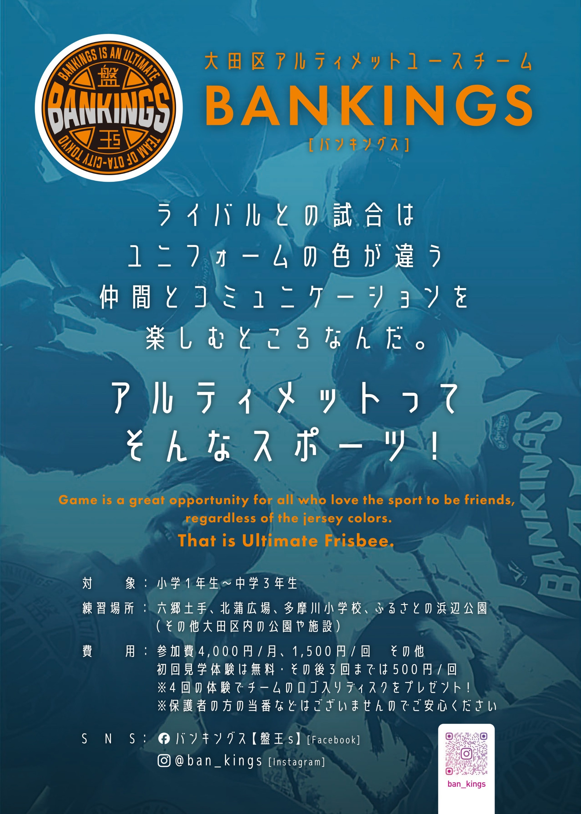 アルティメットチーム